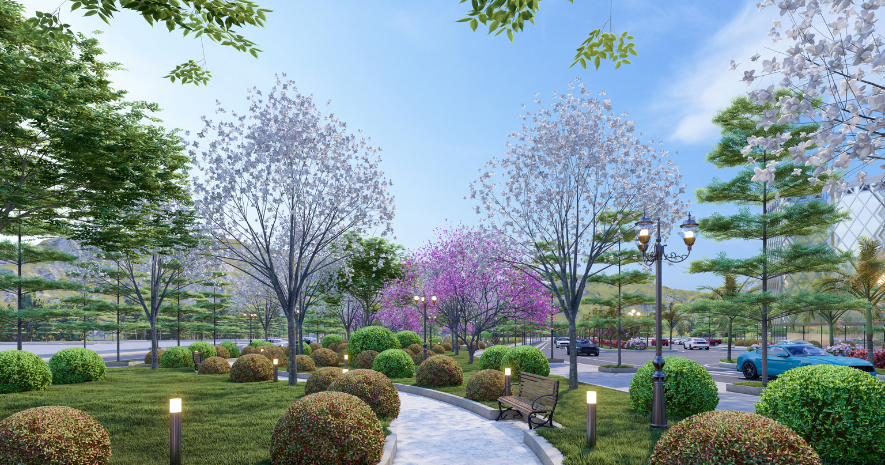 VCN - Tây Bắc Green Field